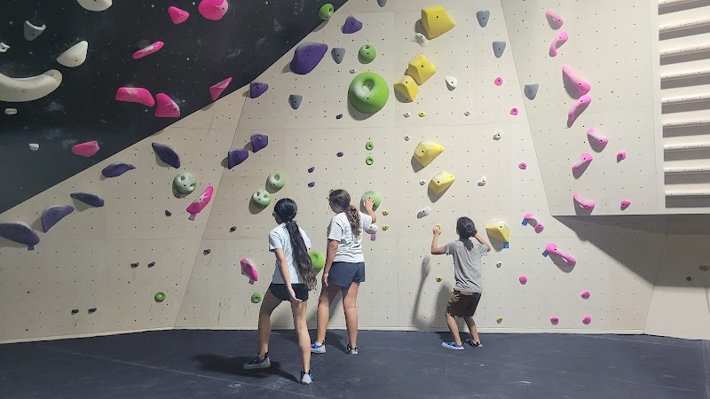 MoCo Bouldering and Fitness cover image