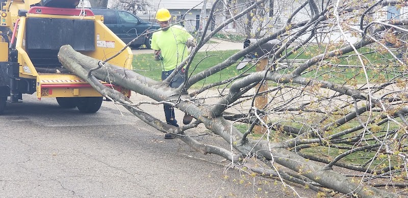 Mark's Professional Tree Service LLC cover