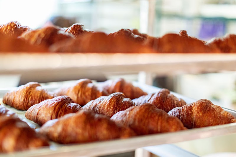 SEYLOU LLC cover image