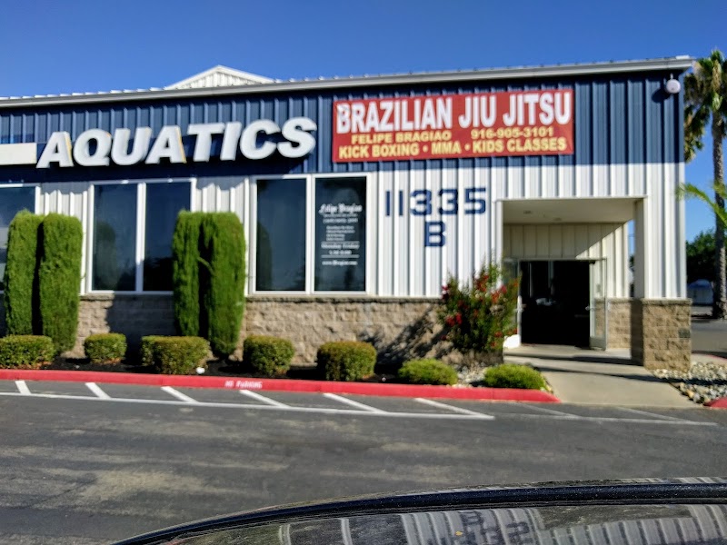 The Northern California Swimstitute cover image