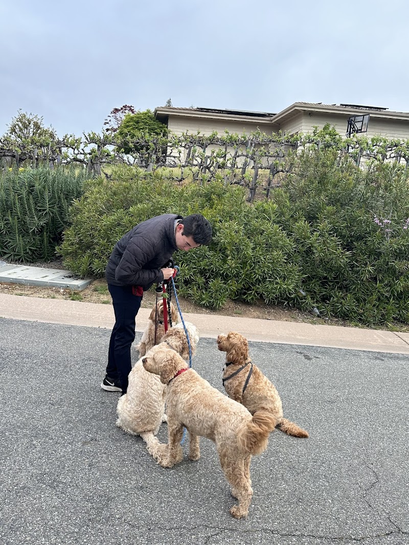 The Gentleman's Paw cover image