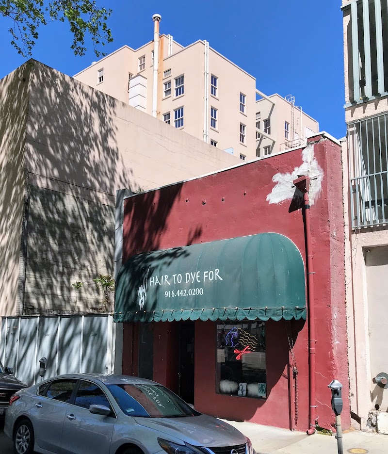 Hair To Dye For cover image