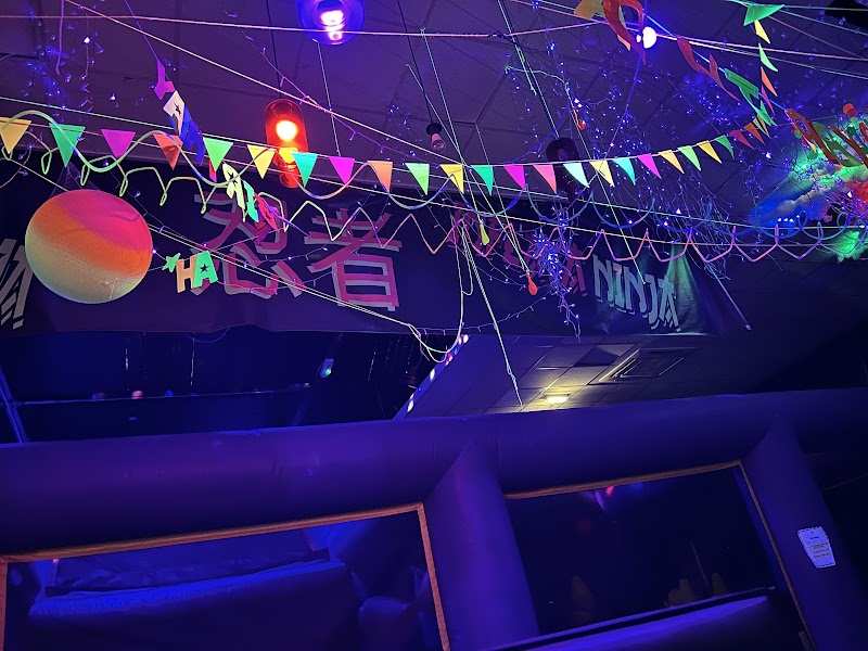 Inflatable Ninja Glow In The Dark Inflatable Park cover image