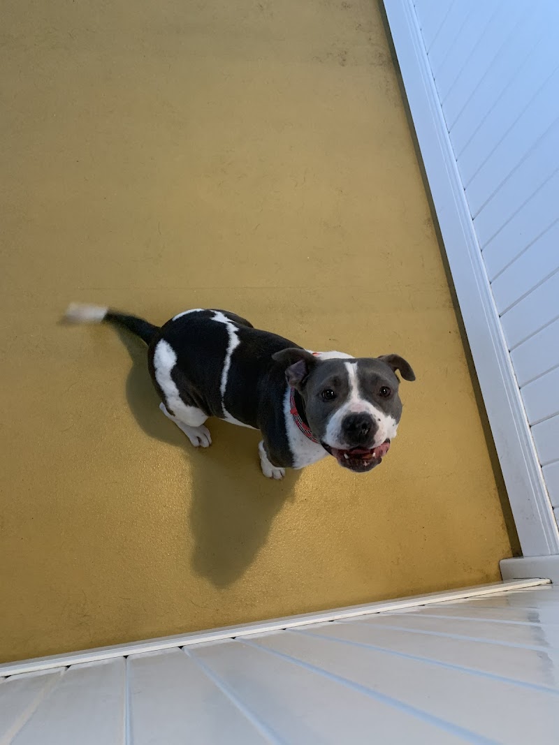 The Barkmont LLC cover image