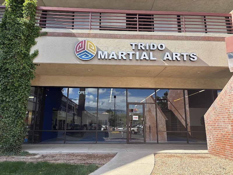 TRIDO MARTIAL ARTS ACADEMY cover image