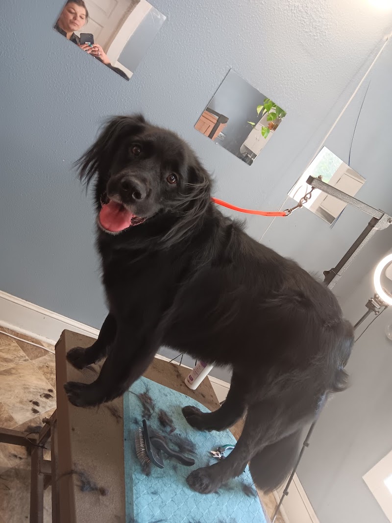 A+ pet spa cover