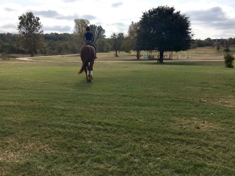 Monarch Stables Austin cover image