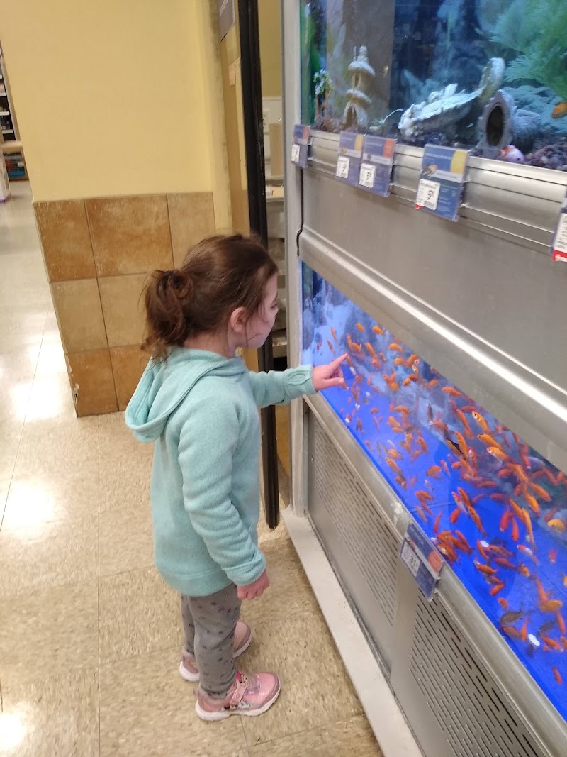 PetSmart cover image