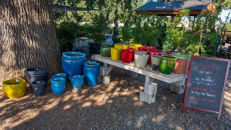 Big Oak Nursery cover image