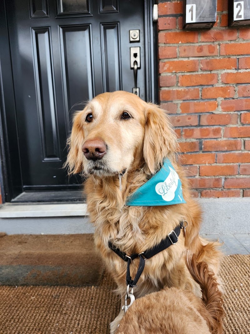 Liberty Pooch cover image