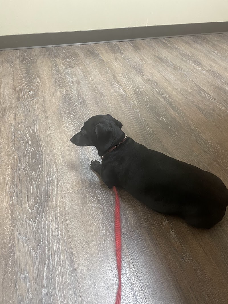 Deerfield Animal Hospital cover image