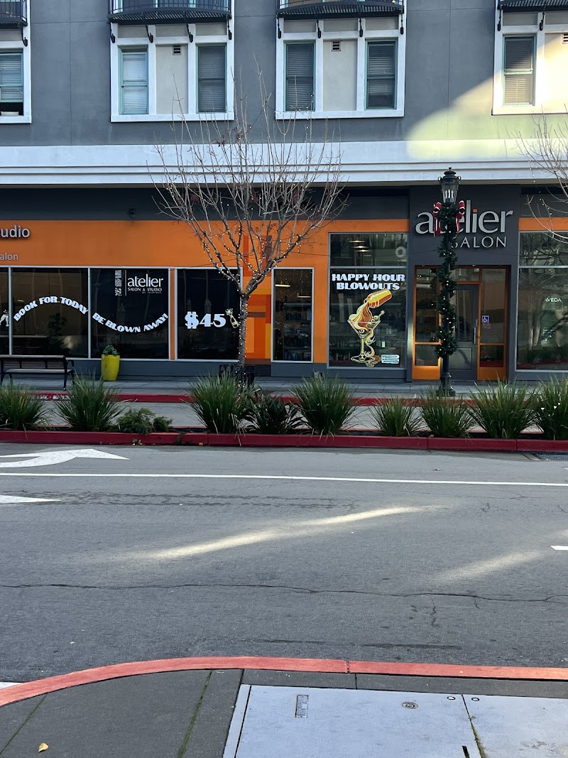 Atelier Salon cover image