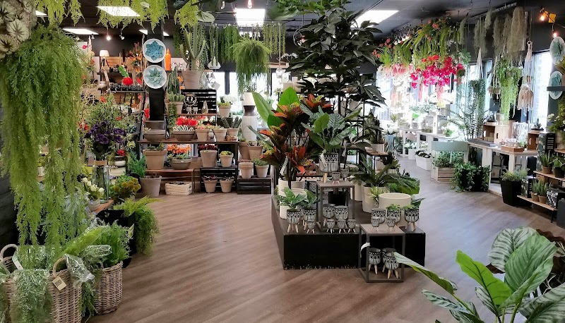 Paradis Jardin & Accessoires cover image