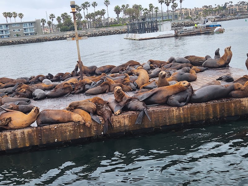 Redondo Glass Bottom Boat cover image