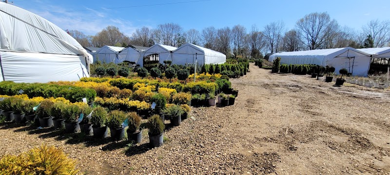 Digger O'Dell Nursery cover image