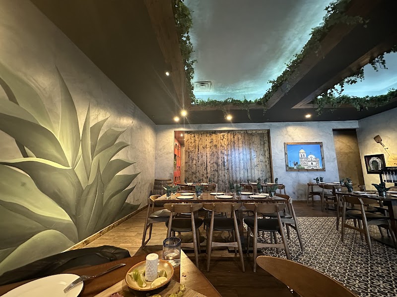 Cuishe Cocina Mexicana cover image