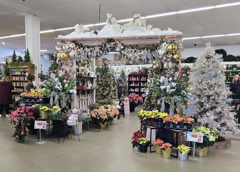 Strader's Garden Center cover image