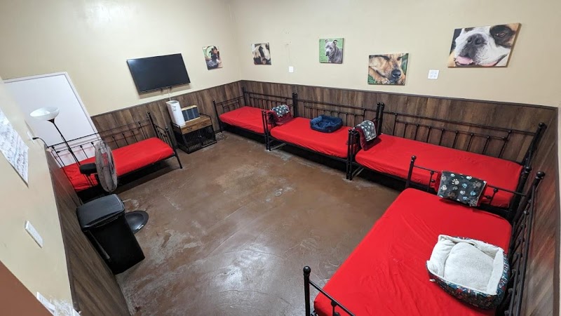 The Wags Club cover image