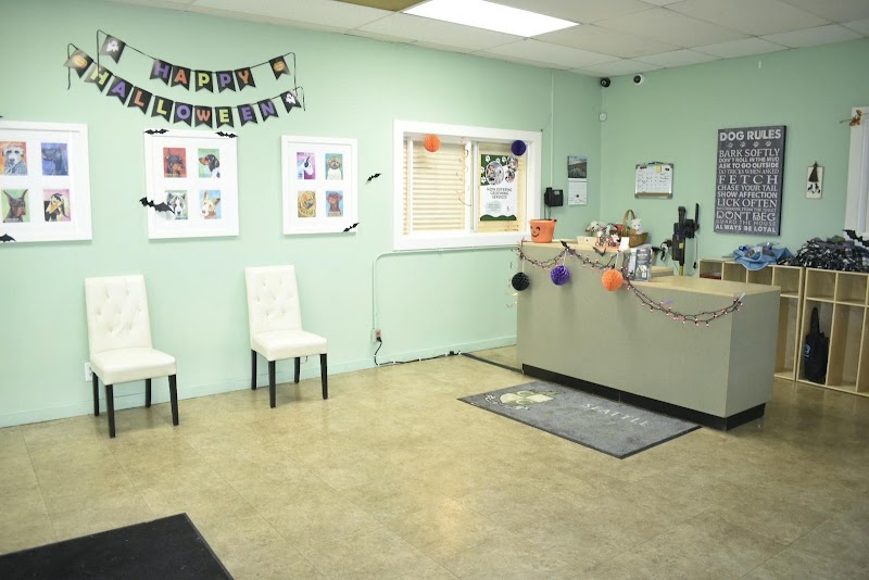 Seattle Canine Club cover image