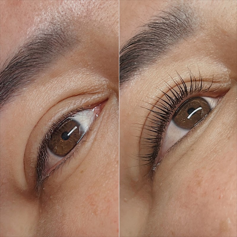 Lash Out & Make Up cover image