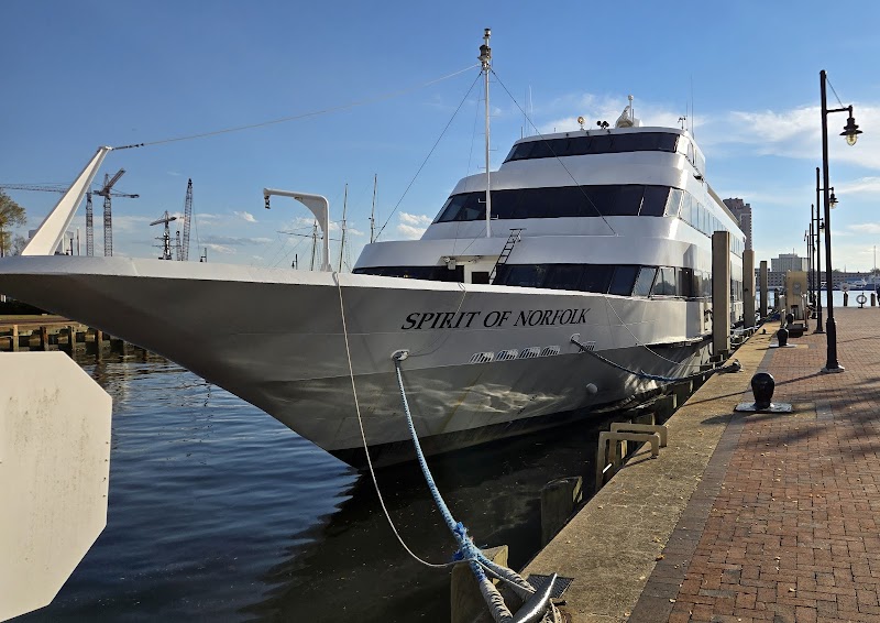 City Cruises cover image