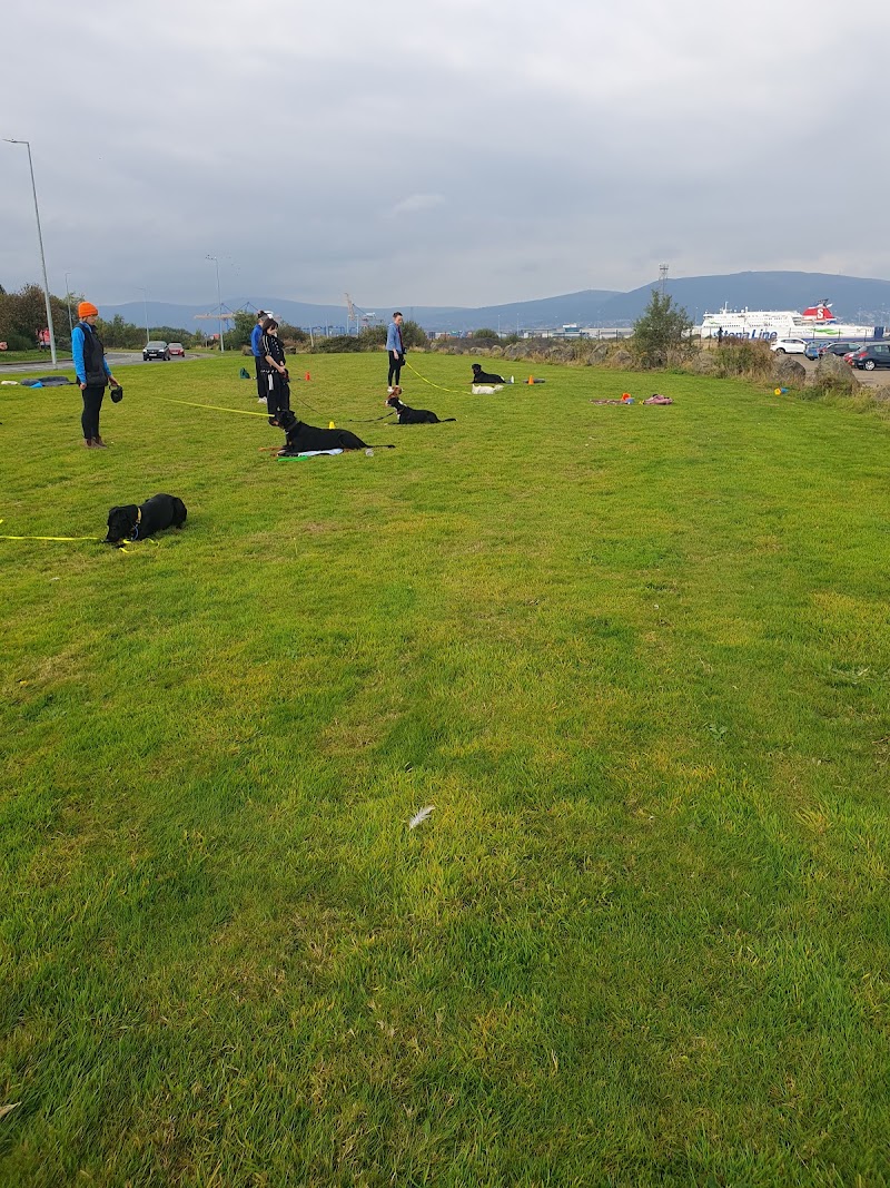 Second Nature K9 cover image