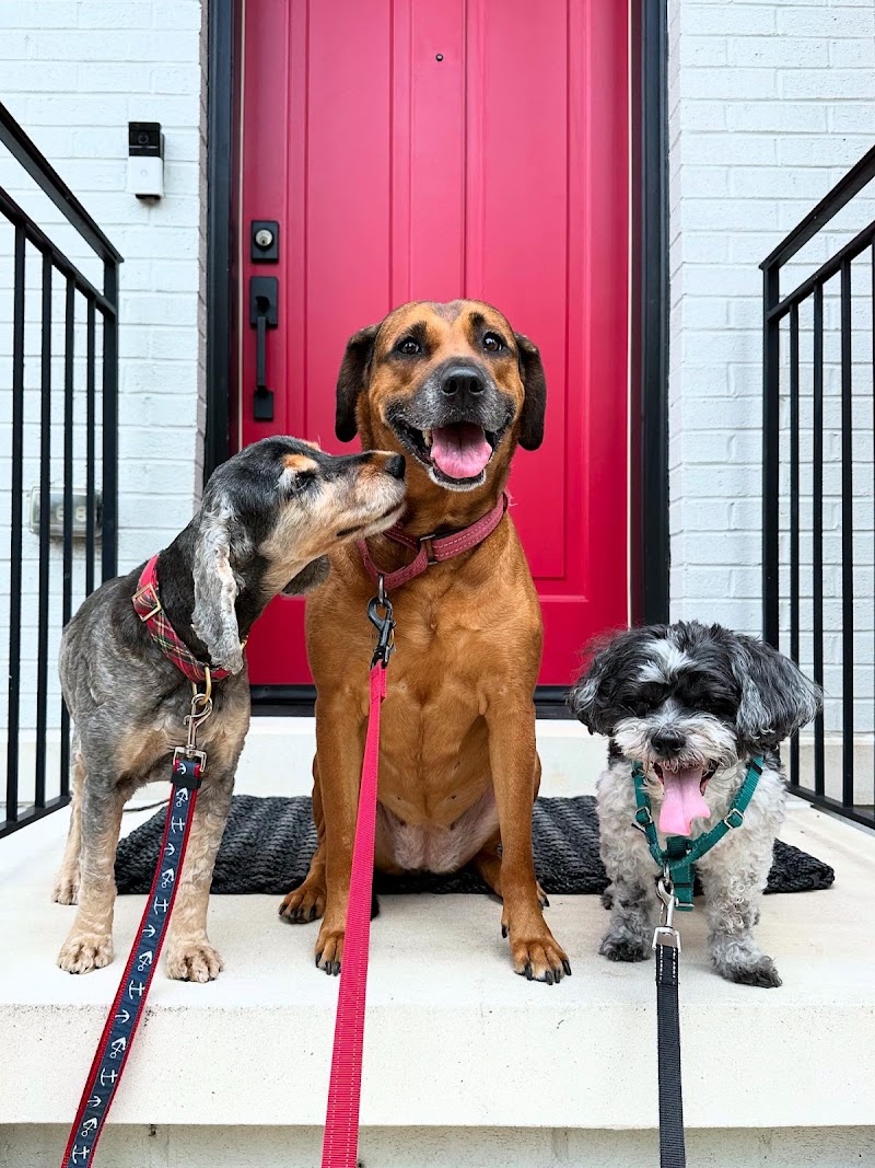 Two Tails DC cover image