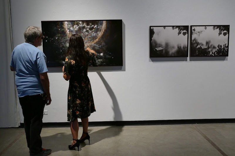 Phebe Conley Art Gallery cover image