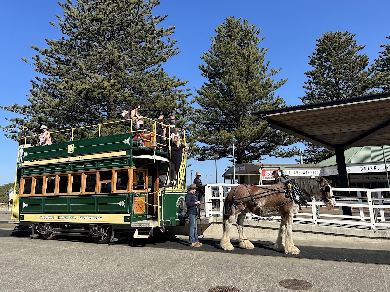 The DUNES MINI GOLF PARK cover image