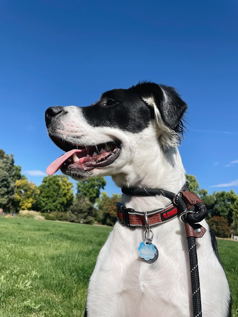 Sidekicks Dog Training cover image