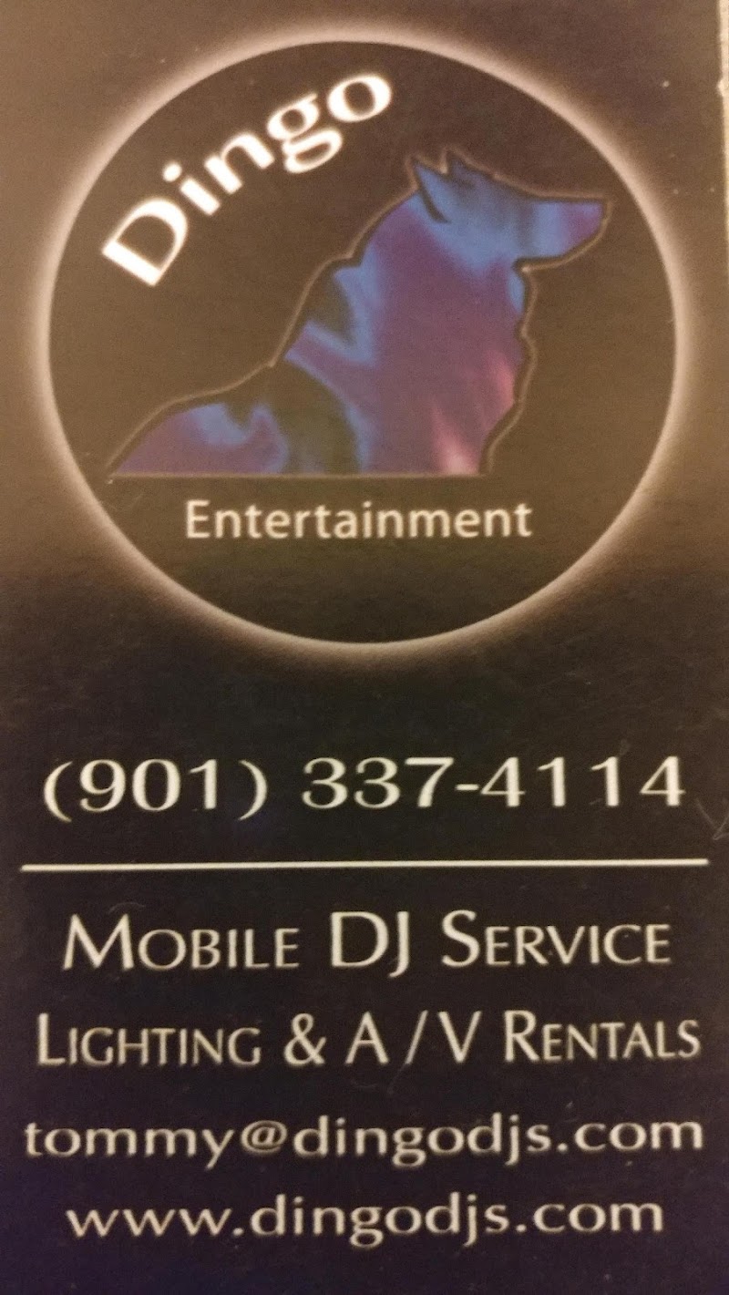 Dingo Entertainment cover image