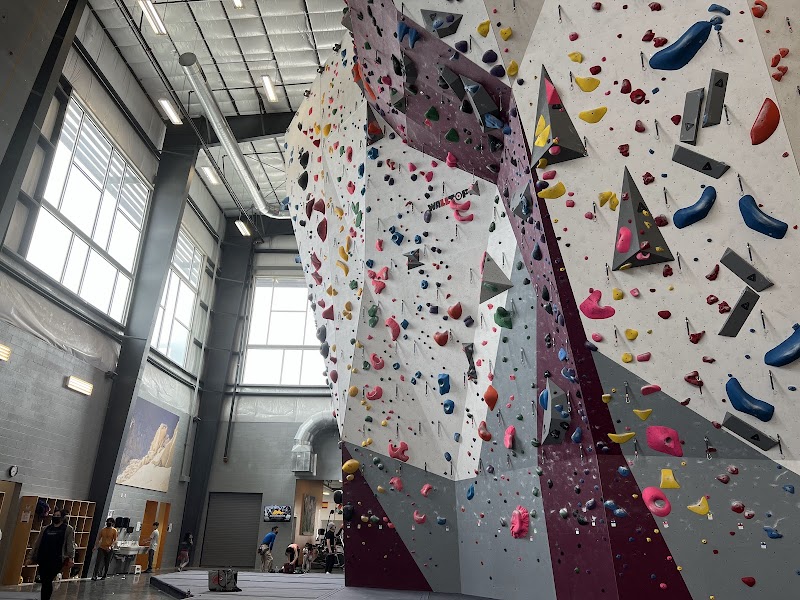 Momentum Indoor Climbing Katy cover image