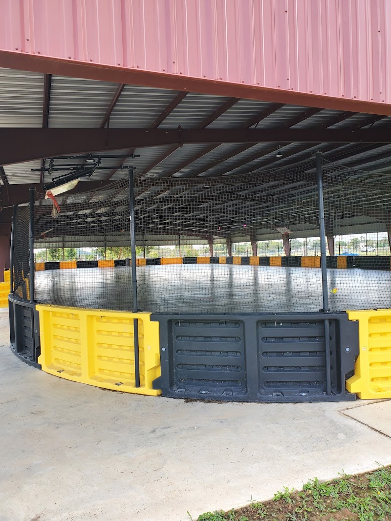 Ash Pavilion cover image