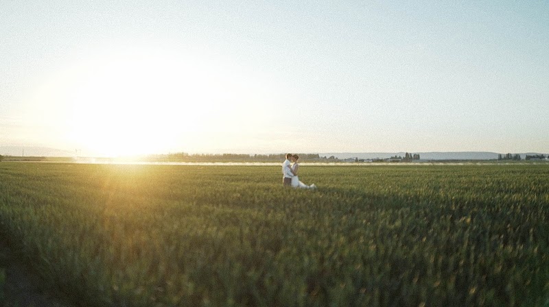 Ferguson Films cover image