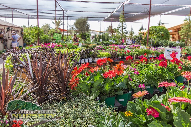 Desert Horizon Nursery cover image