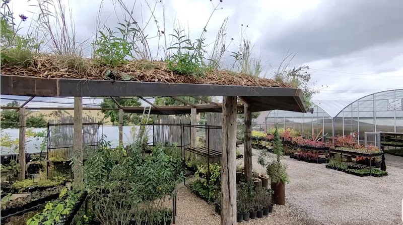 Native Plants Nursery cover image
