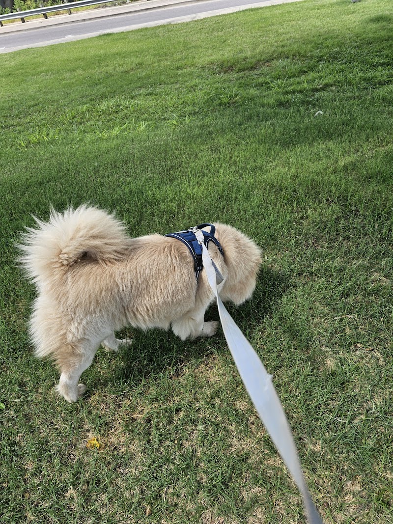 Wuf Pet Resort & Spa cover image