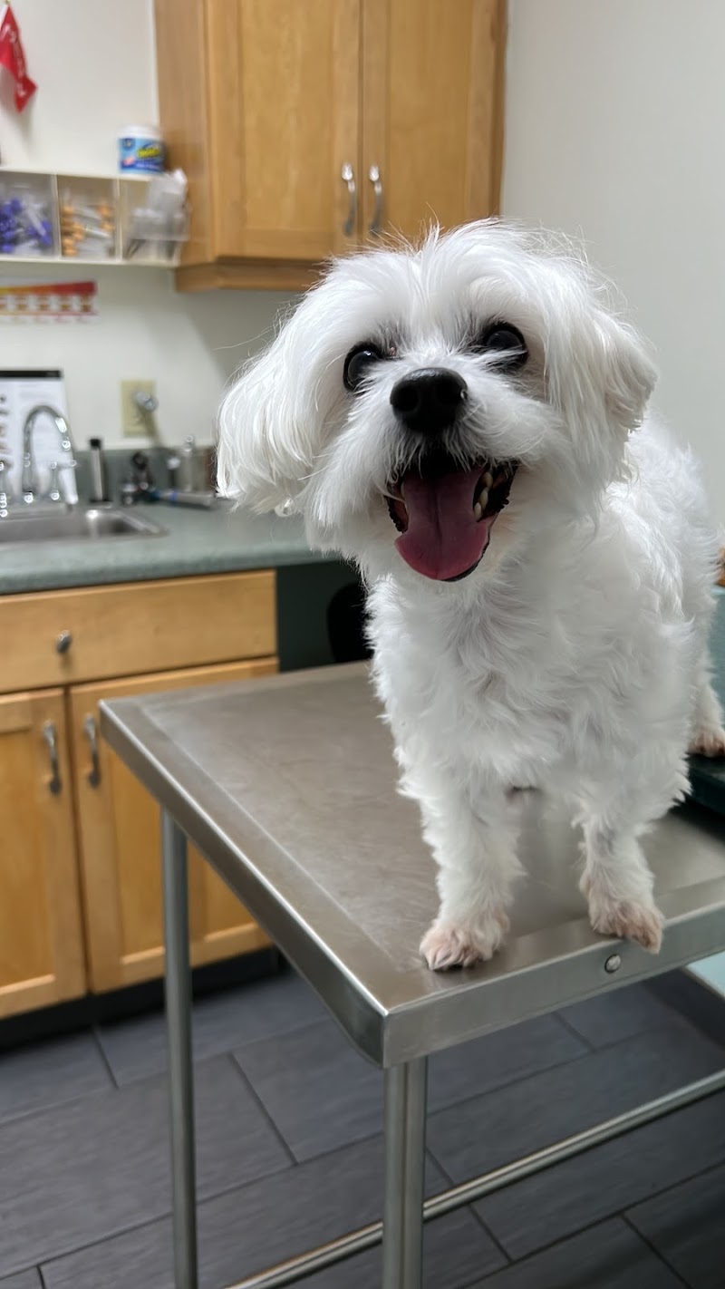 Animal Health Center of Port St Lucie cover image
