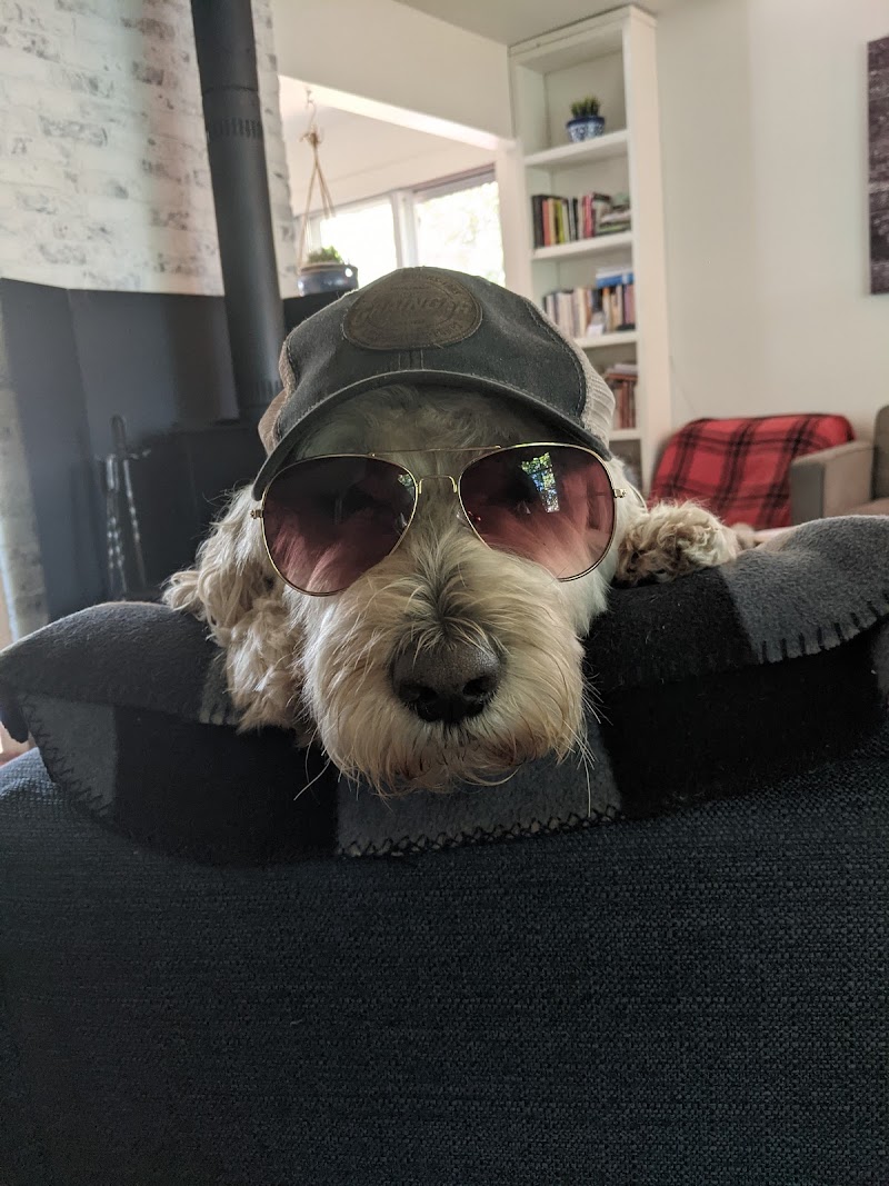 Centre Pegase cover image