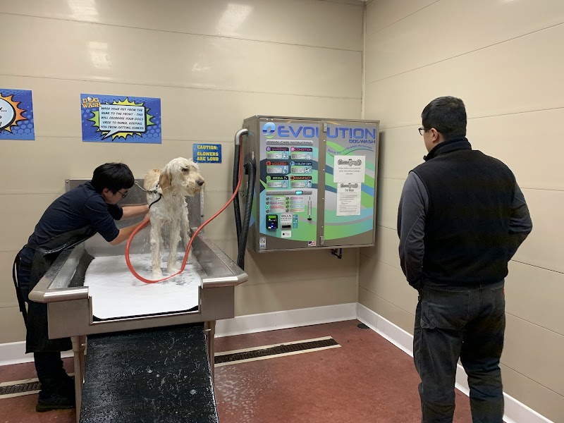 Monster Wash cover image