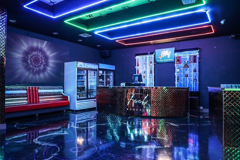 Feel Karaoke cover image