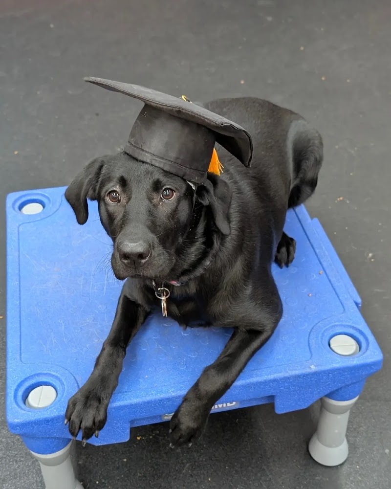 Adventure K-9 LLC cover image