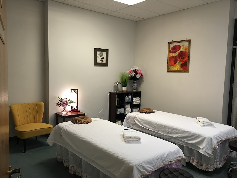 Lotus Blossom Day Spa cover image