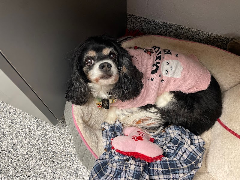 Farmers Veterinary Hospital cover image