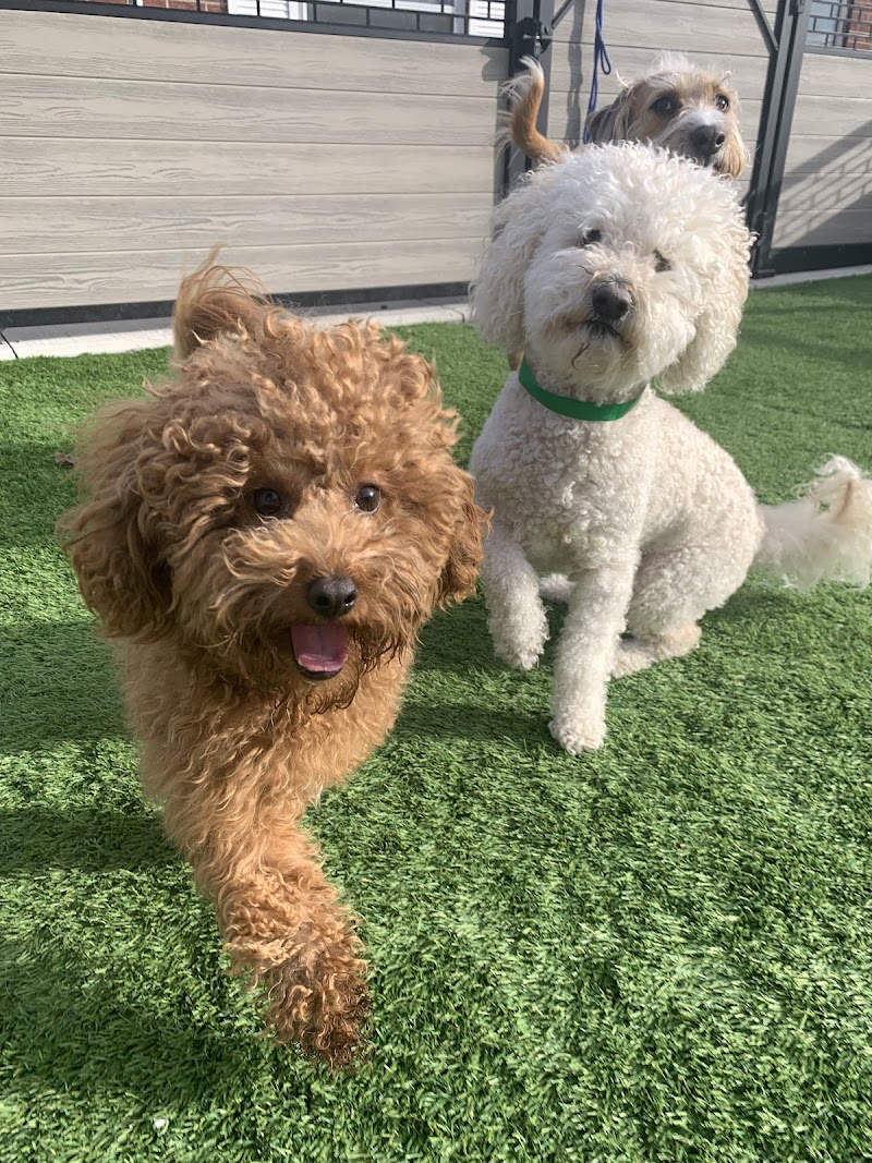 Parker Pet Care cover image