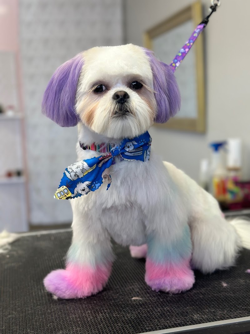 Bark Boutique cover image