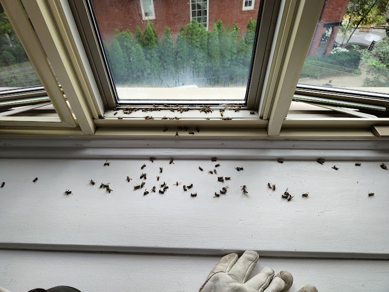 My Pest Exterminator | Pest Control Services cover image