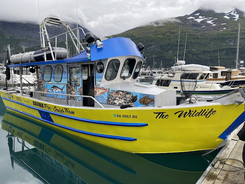 Alaskan 4 Star Charters cover image