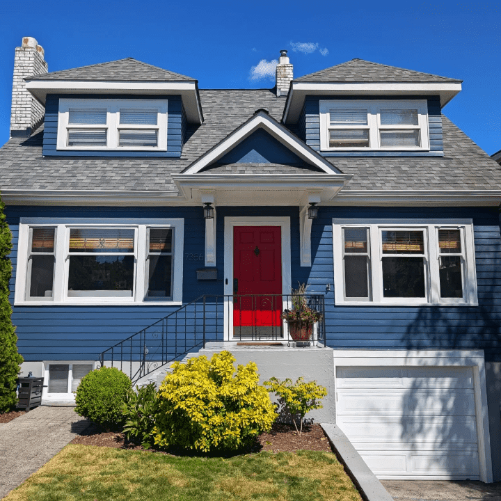 Tera Painting cover image