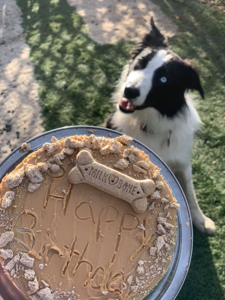 Friendly Paws Pet Resort, LLC cover image